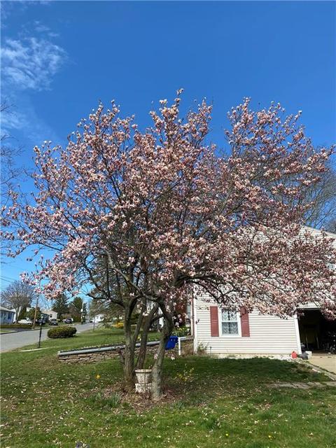 171 Grandview Ave, Woonsocket, RI 02895 photo 14