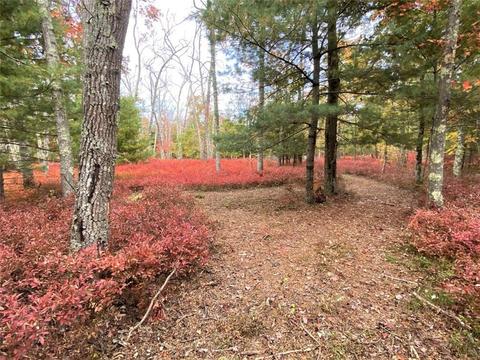 131 E Killingly Rd, Foster, RI 02825 photo 42