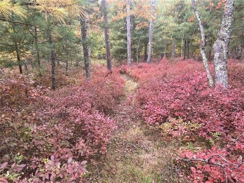 131 E Killingly Rd, Foster, RI 02825 photo 44