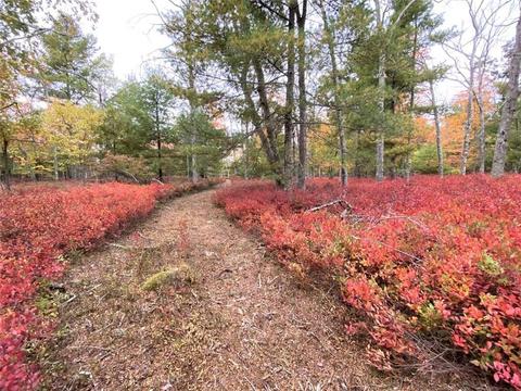 131 E Killingly Rd, Foster, RI 02825 photo 43