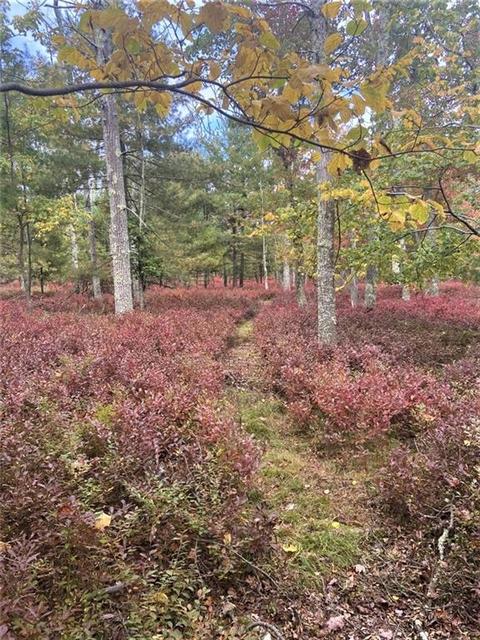 131 E Killingly Rd, Foster, RI 02825 photo 45