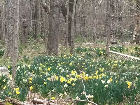 89 E Killingly Rd, Foster, RI 02825 photo 38