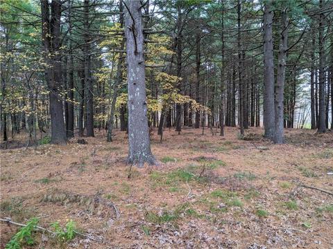 83 Lear Dr, Coventry, RI 02816 photo 5