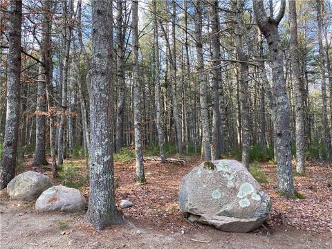 21 Widow Sweets Rd, Exeter, RI 02822 photo 45