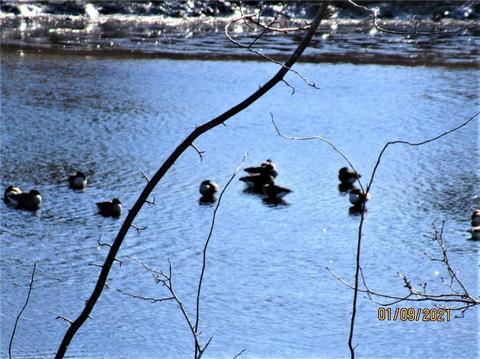 36 Edgemere Ave, Warwick, RI 02889 photo 30