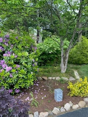 9 Silver Maple Dr, Coventry, RI 02816 photo 34