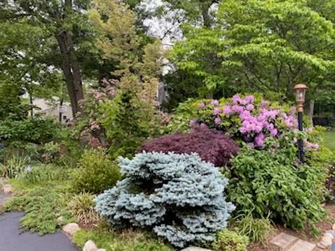 9 Silver Maple Dr, Coventry, RI 02816 photo 35