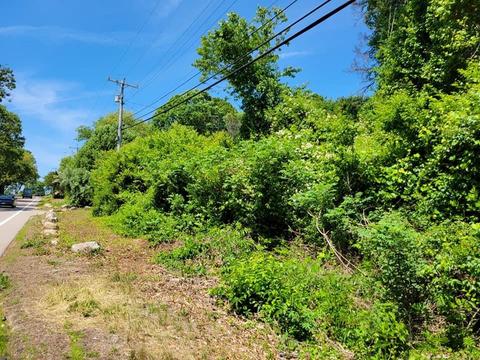 368 Shore Rd, Westerly, RI 02891 photo 4