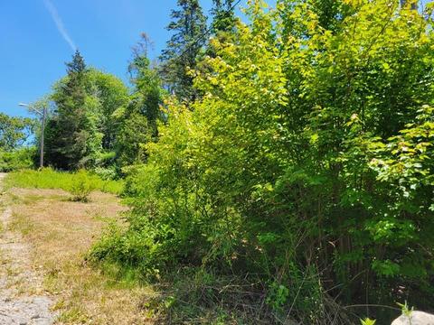 368 Shore Rd, Westerly, RI 02891 photo 5