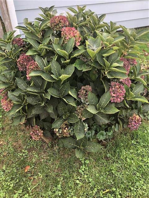 666 Main Ave, Warwick, RI 02886 photo 26