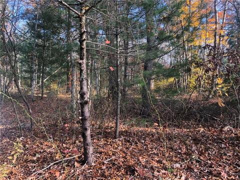 99 Sheffield Hill Rd, Exeter, RI 02822 photo 10