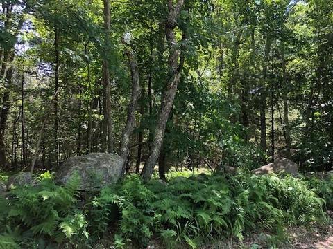 0 Salisbury Rd, Foster, RI 02825