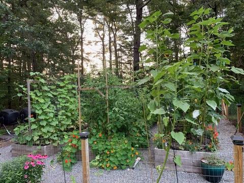 17 Minda Ln, Coventry, RI 02816 photo 31