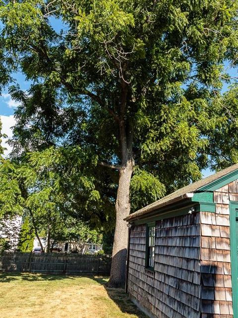 112 Spring Green Rd, Warwick, RI 02888 photo 44