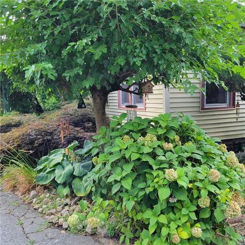 44 Elmer Ave, Warwick, RI 02886 photo 23