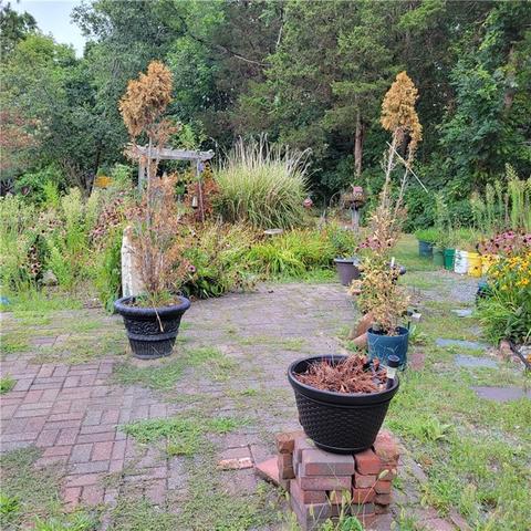 44 Elmer Ave, Warwick, RI 02886 photo 14
