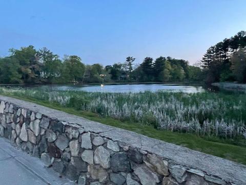 131 Arnold Rd, Coventry, RI 02816 photo 6