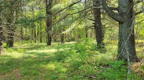 28 Black Plain Rd, Exeter, RI 02822 photo 7