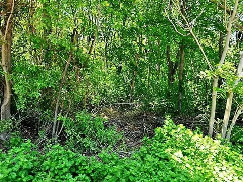 0 Rosedale Rd, Warwick, RI 02818