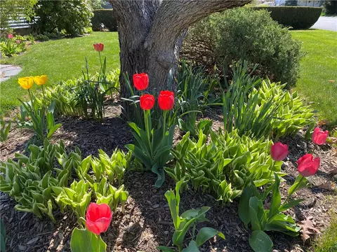 105 Lockhaven Rd, Warwick, RI 02889 photo 34