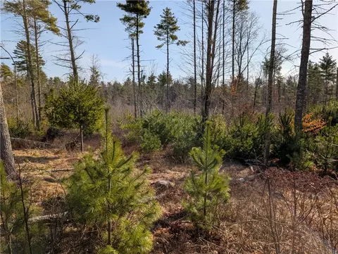 0 Anan Wade Rd, Glocester, RI 02814 photo 3