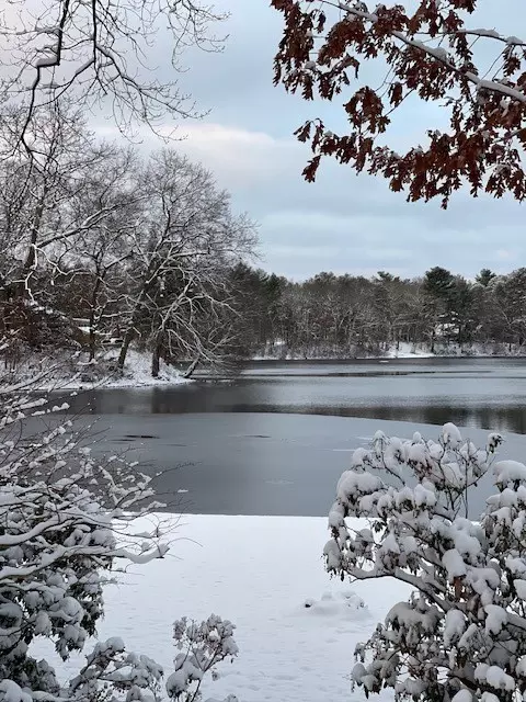 View/Area - 18 Maple Root Rd, Coventry, RI 02816 photo 8 of 12