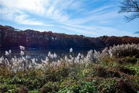 View/Area - 210 Pinegrove Ave, Warwick, RI 02889 photo 1 of 1