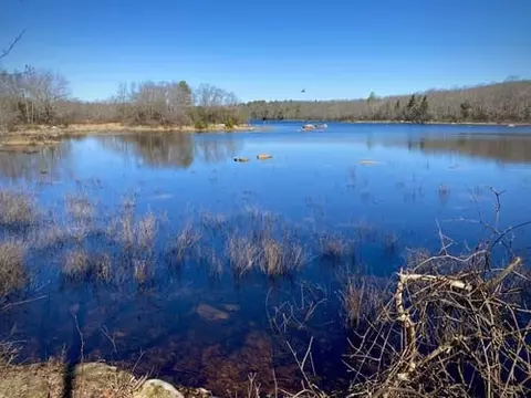 74 Blue Pond Trl, Hope Valley, RI 02832