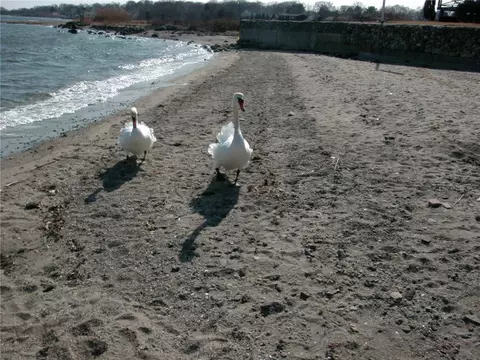 00 Grove Ave, Warwick, RI 02889 photo 20