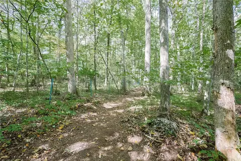 Exterior - 85 Indian Trl, Glocester, RI 02814 photo 15 of 16