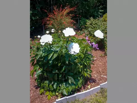 80 Weekapaug Rd, Westerly, RI 02891 photo 49
