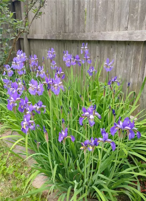 Other - 26 Potomac Rd, Warwick, RI 02888 photo 10 of 10