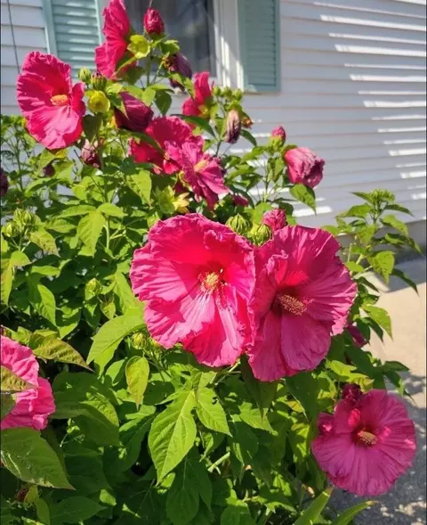 Other - 26 Potomac Rd, Warwick, RI 02888 photo 1 of 10
