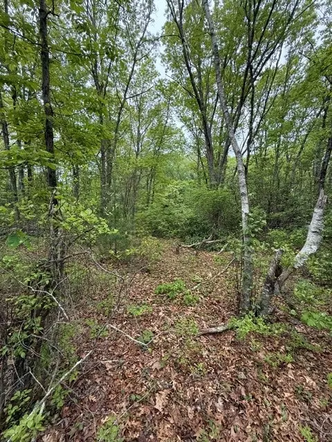 14 Fallon Trl, Westerly, RI 02891 photo 4