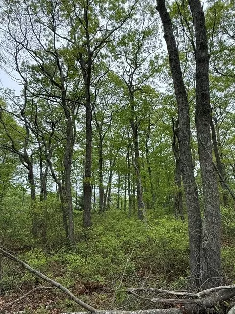 14 Fallon Trl, Westerly, RI 02891 photo 3