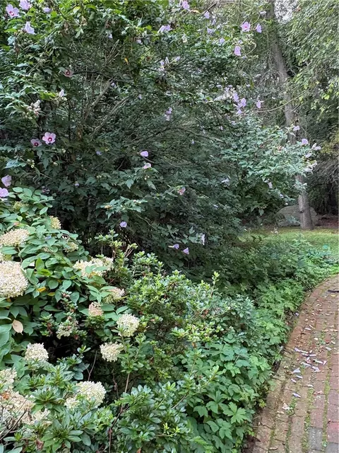 Exterior - 65 Hedgegrow Dr, Warwick, RI 02886 photo 1 of 8