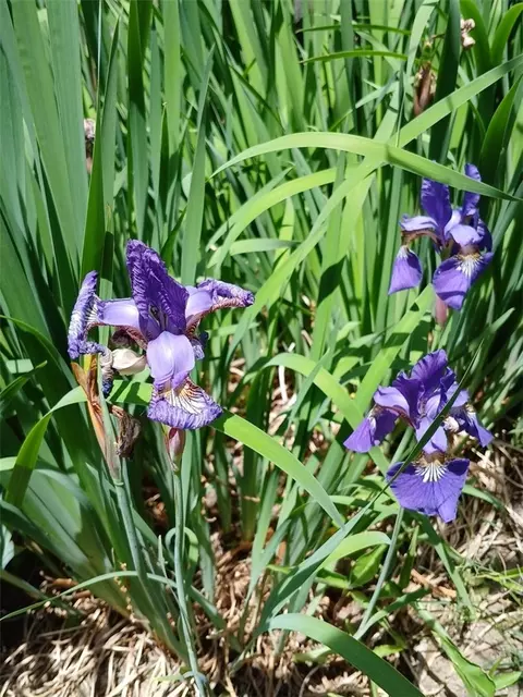 Other - 92 Hawksley Ave, Warwick, RI 02889 photo 4 of 4