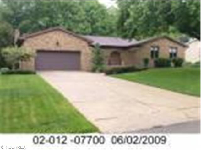 161 Maple Leaf Dr, Hubbard, OH 44425 photo 1