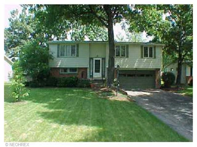 145 Mistletoe Rd, Niles, OH 44446 photo 1