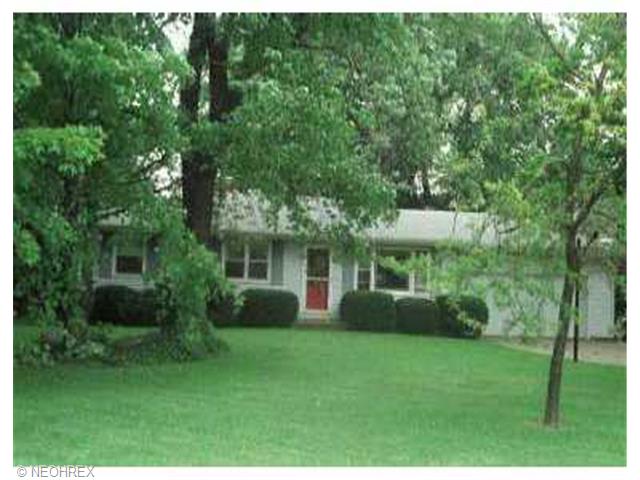 8035 Chippewa Rd, Lodi, OH 44254 photo 1
