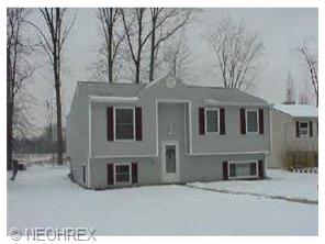 9135 Wilverne Dr, Windham, OH 44288 photo 1