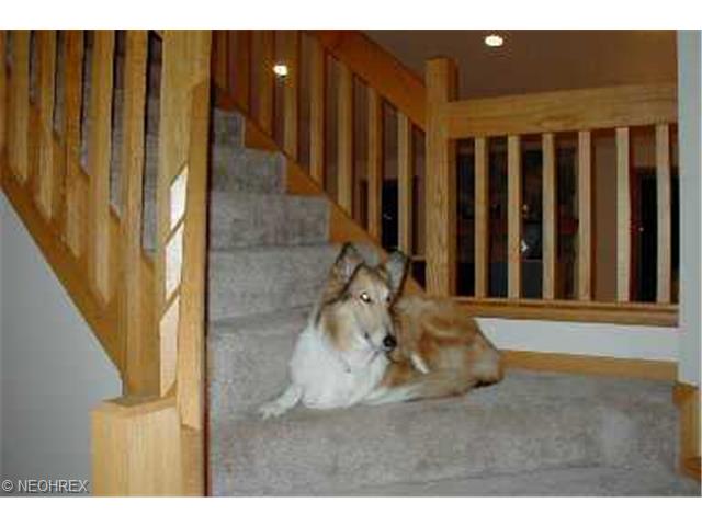 420 Mohawk Dr, Malvern, OH 44644 photo 1