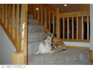 420 Mohawk Dr, Malvern, OH 44644 photo 2