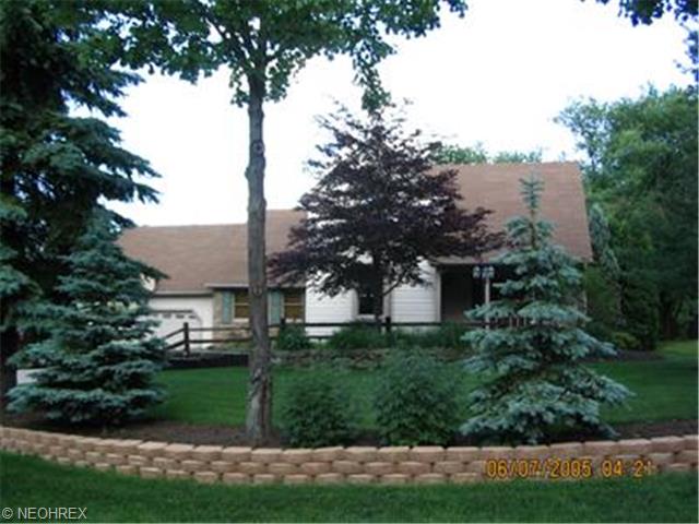 167 Maple Leaf Dr, Hubbard, OH 44425 photo 1