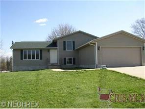 9938 Bright Dr, Windham, OH 44288 photo 1