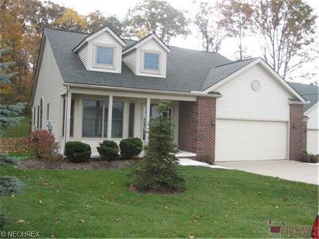 292 Eagleton Ct, Macedonia, OH 44056 photo 1