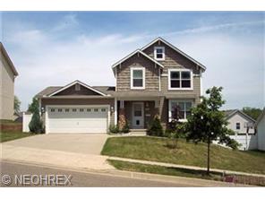 733 Bisson Ave, Akron, OH 44307 photo 1
