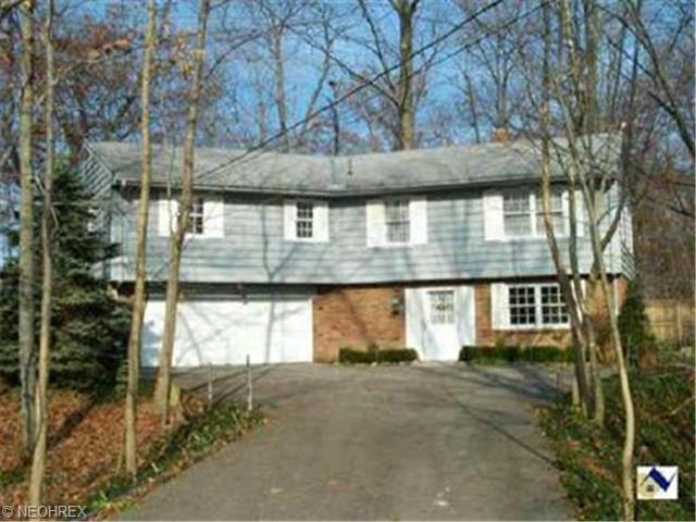 8761 Eagle Rd, Willoughby, OH 44094 photo 1