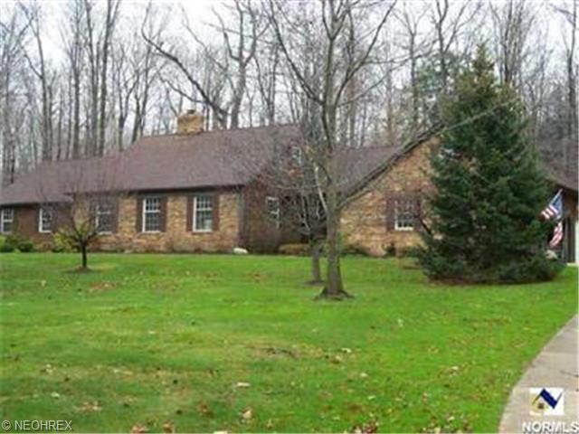 10192 Pinecrest Rd, Painesville, OH 44077 photo 1