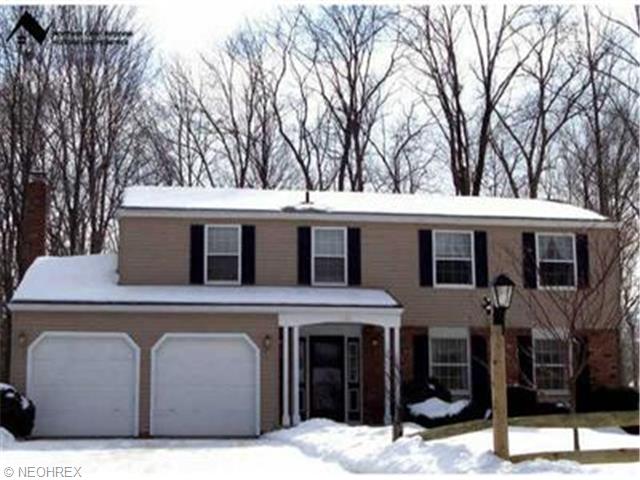 7200 S Meadow Dr, Painesville, OH 44077 photo 1